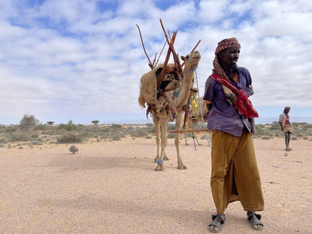 SOMÁLSKO ALEBO EXPEDÍCIA|||||||