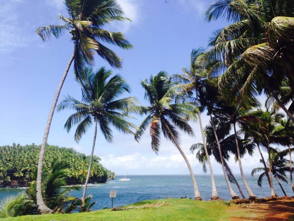 Francúzska Guyana alebo cesta na ostrovy Spásy||||||