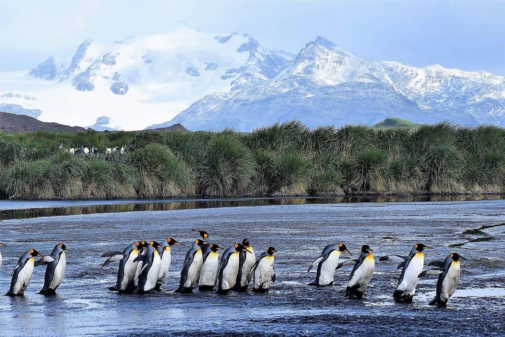 Južný pól – zápisky