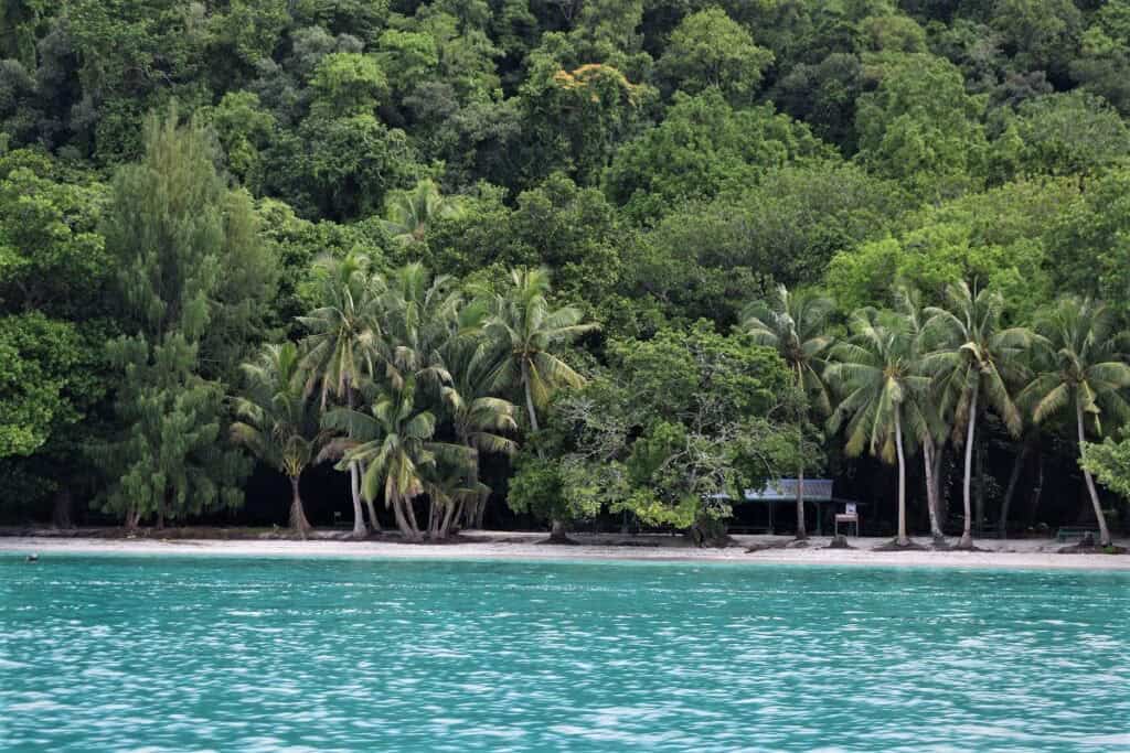 Palau – cestovateľské rady a tipy||