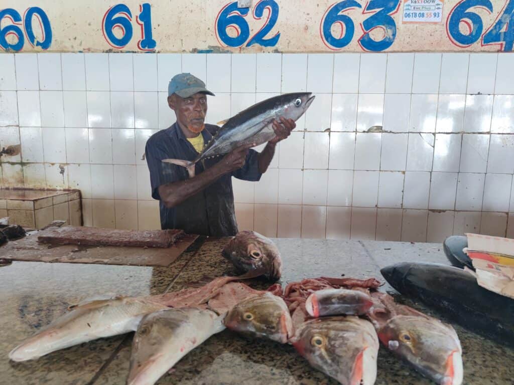 |Mogadišo - najexotickejší rybí trh||||||||||