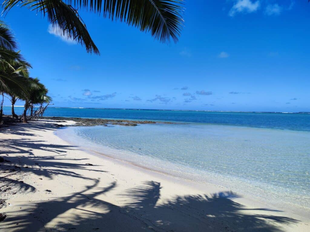 Tonga alebo potápanie s veľrybami