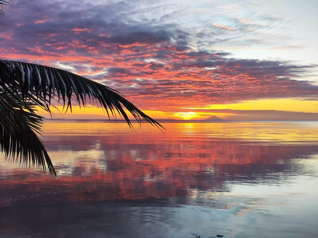Tonga alebo potápanie s veľrybami|||||||||