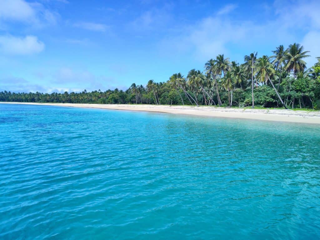 8 zaujímavých faktov o Tonge||||||