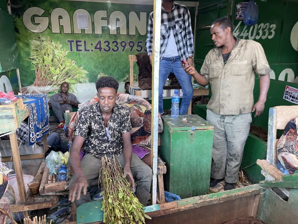 EXPEDÍCIA K NAJVÝCHODNEJŠIEMU BODU||||||