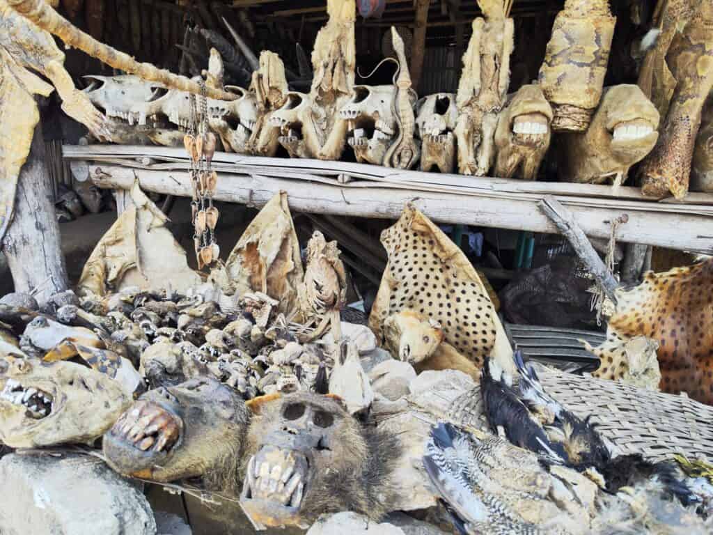 Togo alebo najväčší fetiš trh na svete||||