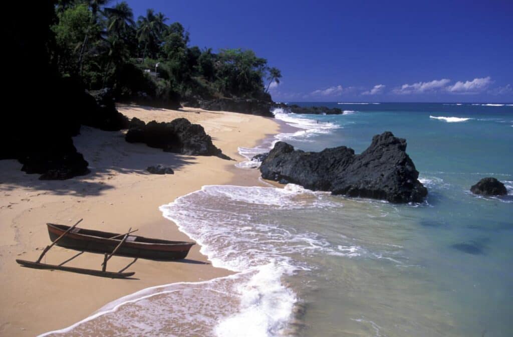 Komorské ostrovy alebo ako som sa naháňal s potkanom|||