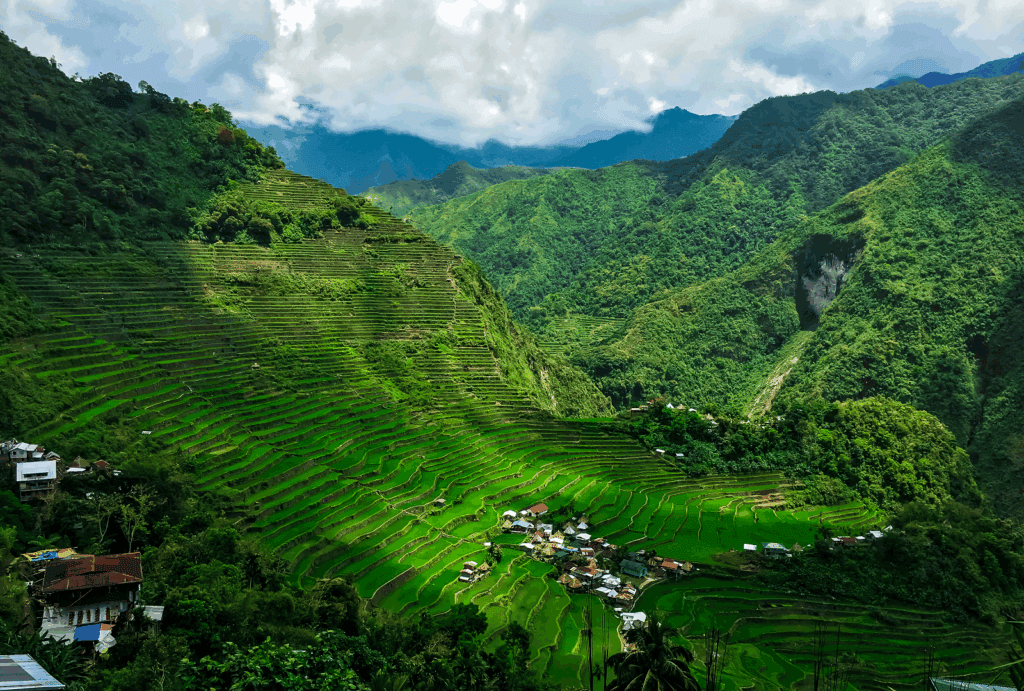 8. div sveta alebo to najkrajšie z Filipín|||||||